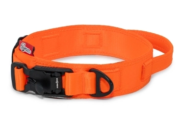 Halsband Fidlock®-Magnetverschluss mit Griff - orange